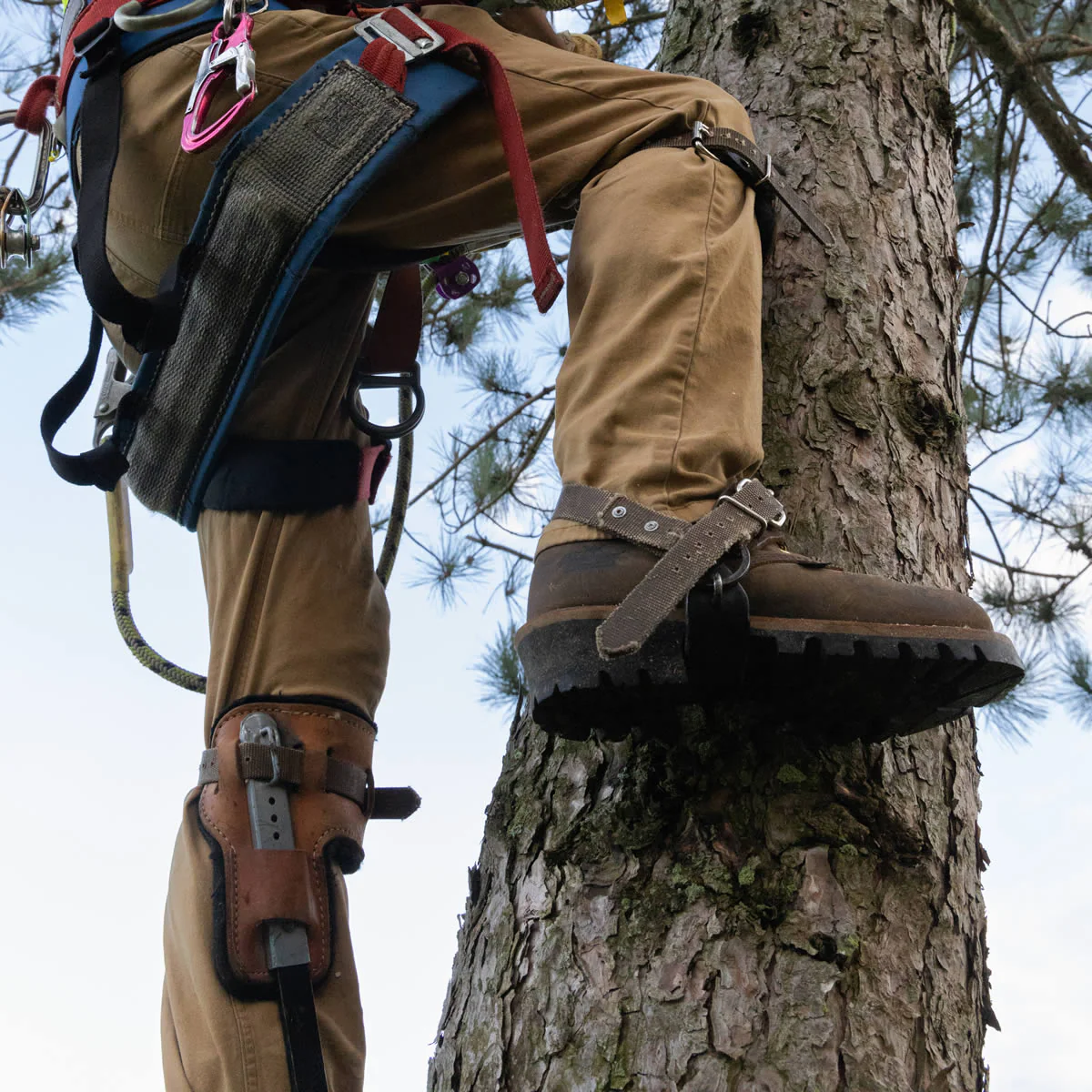 Thorogood Men's Logger Series 9" Waterproof Steel Toe Boots, 804-3555, Brown Stud Horse - Image 11
